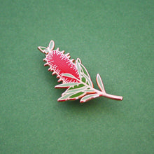Load image into Gallery viewer, Bottlebrush Enamel Pin